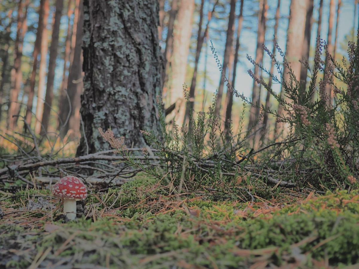 Morskie Domki Kopalino Caloroczne Lubiatowo (Pomerania) Exterior foto